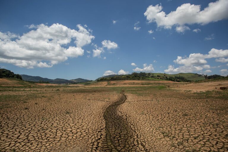 Degraded farmland